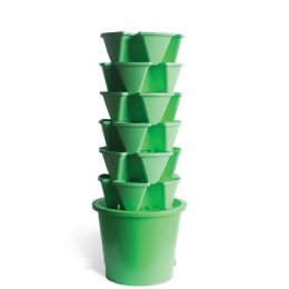    Green Mountain - Star Stack